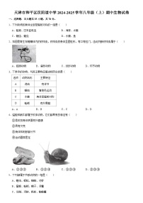 天津市和平区汉阳道中学2024-2025学年八年级（上）期中生物试卷  含详解