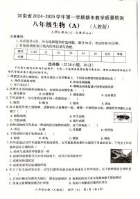 河南省郑州市新郑市2024-2025学年八年级上学期11月期中生物试题