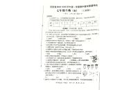 河南省郑州市新郑市2024-2025学年七年级上学期11月期中生物试题