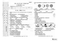 陕西省延安市富县2024-2025学年七年级上学期期中检测生物试卷