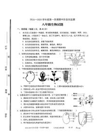 山东省枣庄市市中区2024-2025学年八年级上学期期中考试生物试题