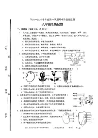 山东省枣庄市市中区2024-2025学年八年级上学期期中考试生物试题