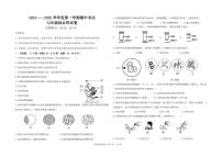 江苏省盐城市东台实验中学教育集团2024-2025学年七年级上学期期中生物试题