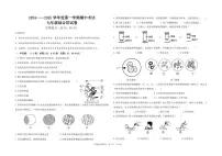 江苏省盐城市东台实验中学教育集团2024-2025学年七年级上学期期中生物试题