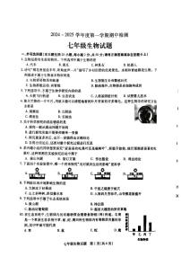 江苏省徐州市沛县2024-2025学年七年级上学期11月期中考试生物试题