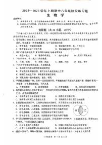 河南省周口市西华县2024-2025学年八年级上学期11月期中生物试题