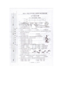 河南省驻马店市泌阳县2024-2025学年七年级上学期11月期中生物试题