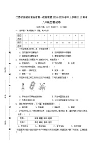 江苏省盐城市东台市第一教育联盟2024-2025学年八年级上学期11月期中生物试题