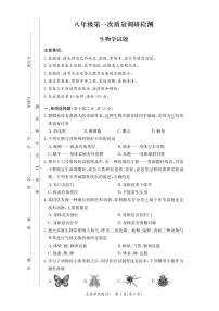 湖南师大附中教育集团联考2024-2025学年八年级上学期11月期中生物试题