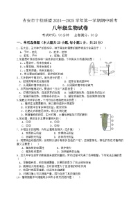 江西省吉安市十校联盟2024-2025学年八年级上学期11月期中生物试题