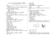 八年级生物第三次月考卷（考试版A3）【测试范围：人教版八上全册】（北京专用）