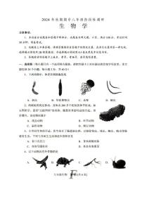 河南省南阳市方城县2024-2025学年八年级上学期11月期中生物试题