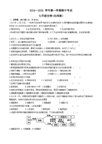 河南省通许县2024-2025学年七年级上学期期中考生物试题