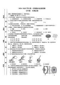 江西省萍乡市2024-2025学年七年级上学期11月期中生物试题