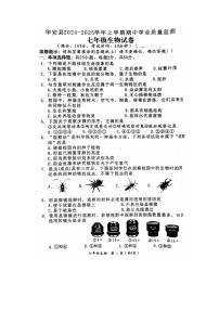 福建省漳州市华安县2024-2025学年七年级上学期期中生物试题