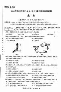 广西柳州市2024-2025学年八年级上学期期中考试生物试卷