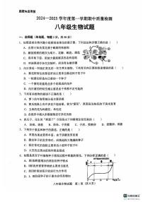 山东省济南市历城区2024-2025学年八年级上学期期中考试生物试题