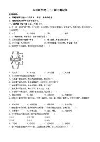 江西省抚州市东乡区2024-2025学年八年级上学期期中生物试题