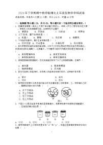 湖南省衡阳市四校2024-2025学年七年级上学期11月期中考试生物试题