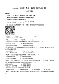 河南省信阳市淮滨县2024-2025学年七年级上学期期中生物试题(无答案)