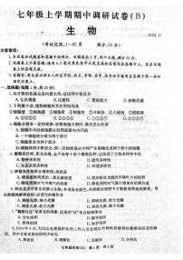 河南省林州市2024-2025学年七年级上学期期中考试生物试卷