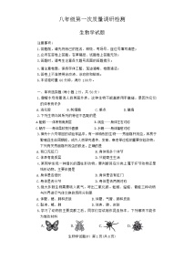 湖南省师范大学附属中学教育集团联考2024-2025学年八年级上学期11月期中考试生物试题