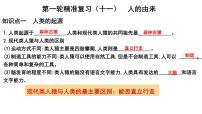 2025年中考生物一轮复习考点通关精讲课件专题11 人的由来（含答案）