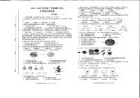 江西省赣州市蓉江新区2024-2025学年七年级上学期期中考试生物试题