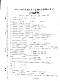 江苏省宿迁市宿城区新区教学共同体学情调研2024-2025学年七年级上学期11月期中生物试题