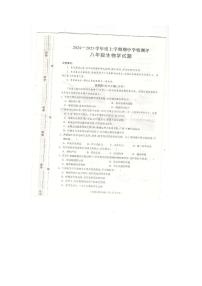 河南省驻马店市平舆县2024-2025学年八年级上学期期中学情测评生物试题