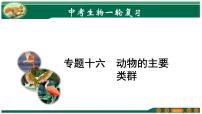 2025年中考生物一轮复习考点练习课件 专题16 动物的主要类群