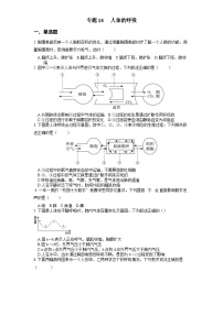 2025年中考生物一轮复习考点通关练习专题13 人体的呼吸（2份，原卷版+解析版）