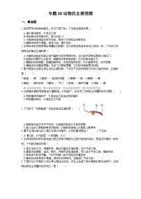 2025年中考生物一轮复习考点通关练习专题20 动物的主要类群（2份，原卷版+解析版）