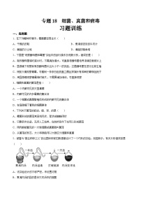 2025年中考生物一轮复习精讲精练专题18  细菌、真菌和病毒（2份，原卷版+解析版）