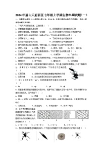 四川省眉山市天府新区清水初级中学2024-2025学年七年级上学期期中考试生物试题