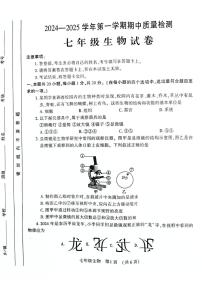 河南省洛阳市宜阳县2024-2025学年七年级上学期期中考试生物试题