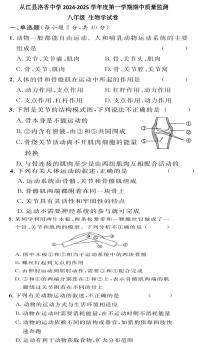 贵州省黔东南州从江县洛香中学2024-2025学年八年级上学期期中质量监测生物学试卷