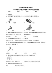 河北省沧州市献县2024-2025学年八年级上学期第一次月考生物学试卷(含答案)