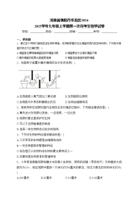 河南省濮阳市华龙区2024-2025学年七年级上学期第一次月考生物学试卷(含答案)