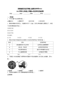 河南省驻马店市确山县部分中学2024-2025学年七年级上学期10月月考生物试卷(含答案)