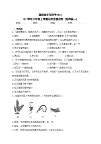 湖南省多校联考2024-2025学年八年级上学期月考生物试卷（苏教版一）(含答案)