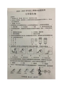 河南省周口市川汇区2024-2025学年七年级上期期中质量监测生物试题