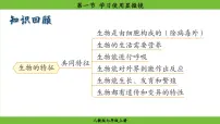 初中生物人教版（2024）七年级上册（2024）第一节 学习使用显微镜图文ppt课件