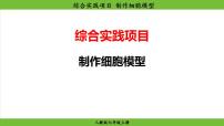 人教版（2024）七年级上册（2024）综合实践项目 制作细胞模型示范课ppt课件