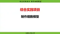 人教版（2024）七年级上册（2024）综合实践项目 制作细胞模型示范课ppt课件