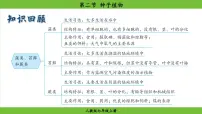 初中生物人教版（2024）七年级上册（2024）第二节 种子植物教学ppt课件
