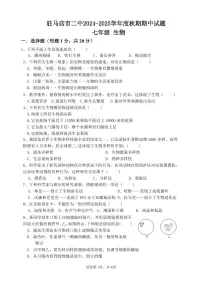 河南省驻马店市第二初级中学2024-2025学年七年级上学期11月期中生物试题