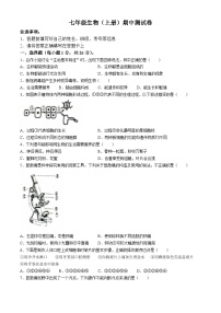 江西省抚州市东乡区2024-2025学年七年级上学期期中生物试题