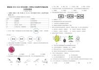 安徽省亳州市蒙城县2024-2025学年七年级上学期11月期中考试生物试题