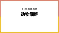 初中生物人教版（2024）七年级上册（2024）第三节 动物细胞教案配套ppt课件